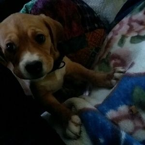 Meet your Posher, Diane